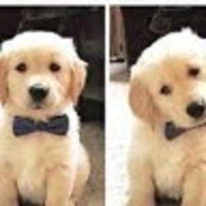 Meet your Posher, Katelyn